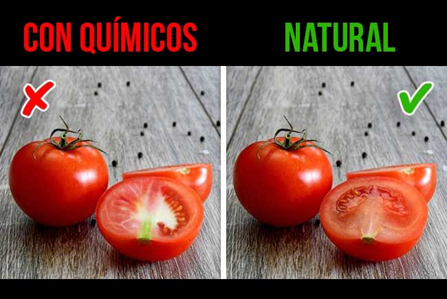 10 Maneras De Detectar Si Un Alimento Es QuÍmico O Natural Notinerd 2768