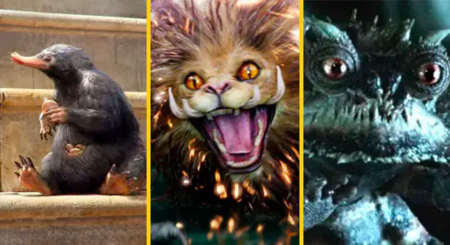 Cuantas Peliculas De Animales Fantasticos Habra