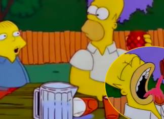 12 Curiosidades que los profesores no te enseñan en las escuelas