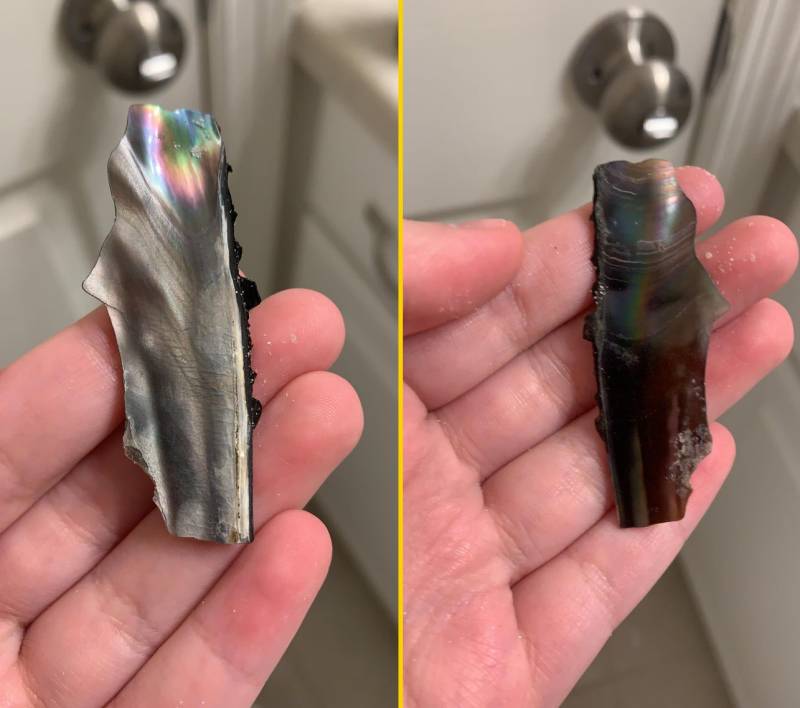 13 Hallazgos muy RAROS que fueron explicados por expertos | Notinerd