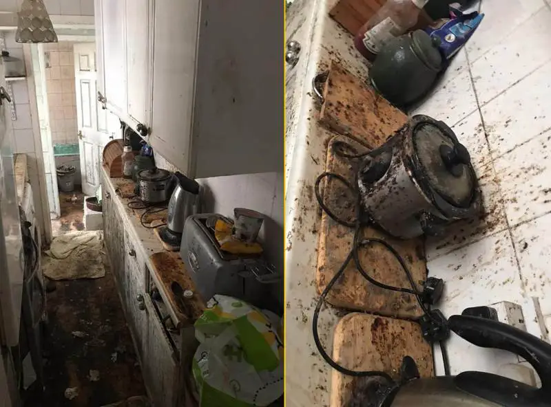 El antes y después de una casa que nunca fue limpiada en 12 años