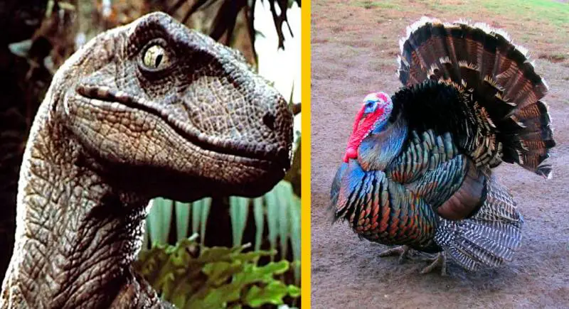 8 Errores que Jurassic Park cometió acerca de los Dinosaurios