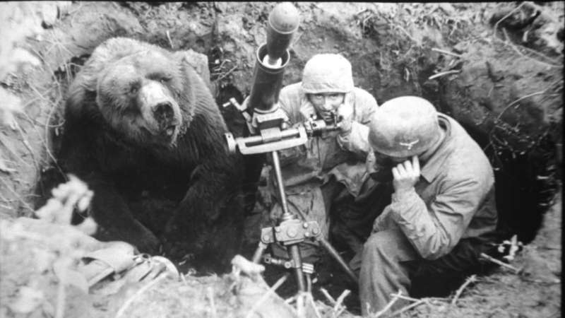 Wojtek, el oso soldado de la Segunda Guerra Mundial, que llegó a ser TENIENTE