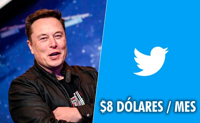 8 Beneficios que traerá pagar $8 dólares por ‘Twitter Blue’ según Elon Musk