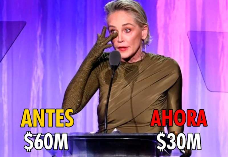 Sharon Stone rompió en llanto y confesó que perdió la mitad de su dinero: 7 detalles sobre el caso