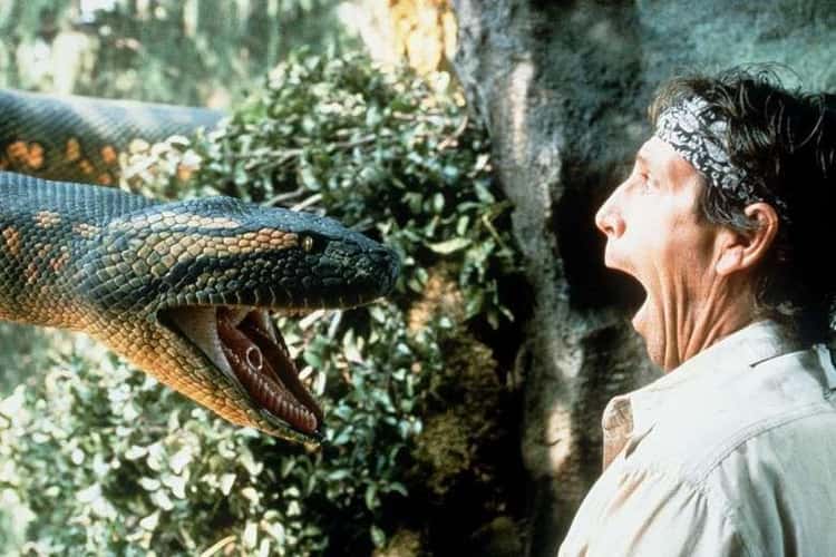 8 Problemas que sucedieron en el set de la película “Anaconda”