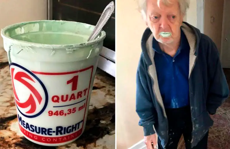 El abuelo que se hizo famoso por confundir pintura con yogurt ha muerto