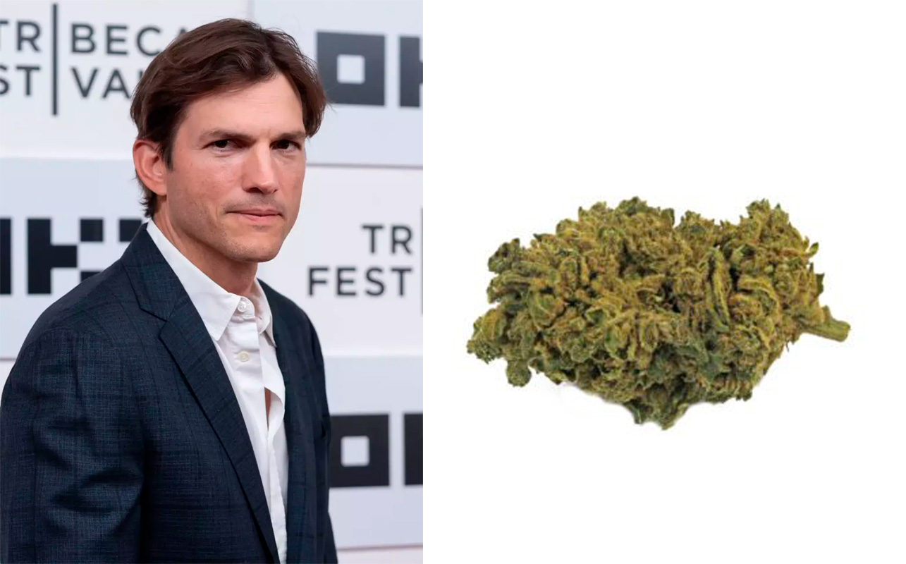 6 Datos de la “Espeluznante Razón” por la que Ashton Kutcher dejó de fumar ‘cigarros de risa’