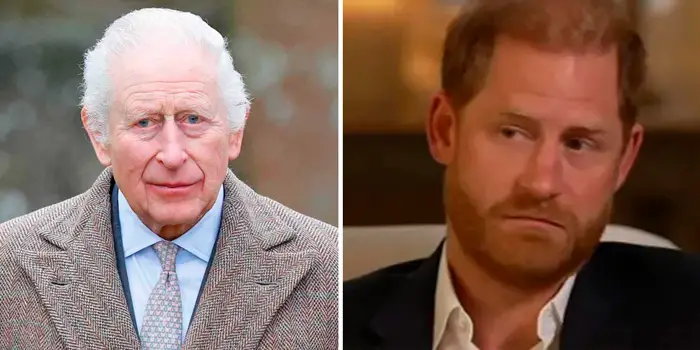 6 Datos de la “Lastimera Entrevista” de Harry tras perder su último “Beneficio Real”