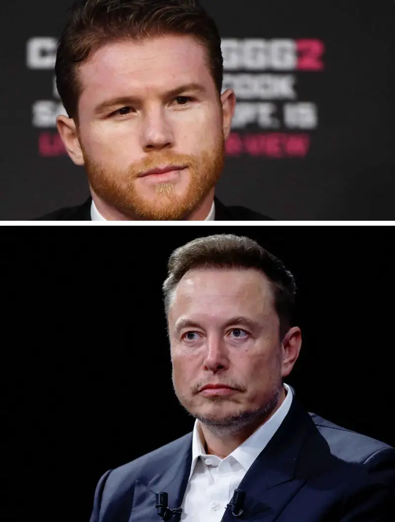 El ‘Contexto Completo’ de la Cruda Pelea entre Canelo Álvarez y Elon Musk