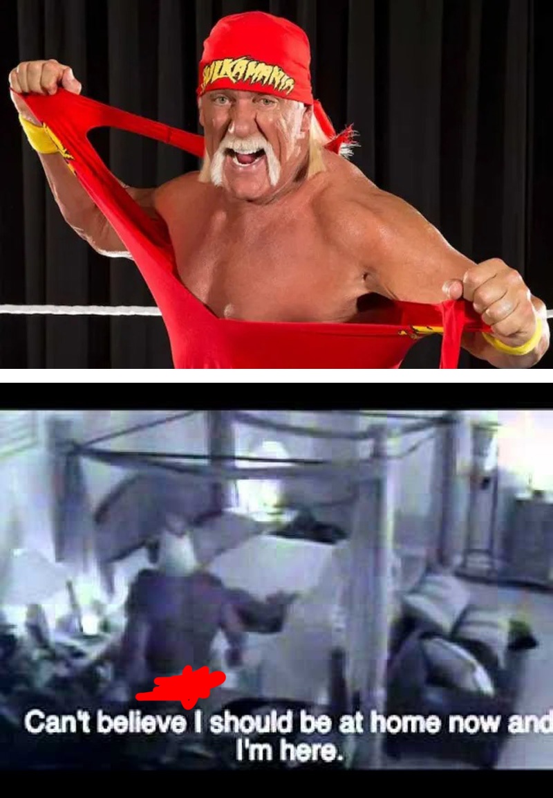 6 Datos del ‘Video Intimo’ de Hulk Hogan que lo salvó de la BANCARROTA
