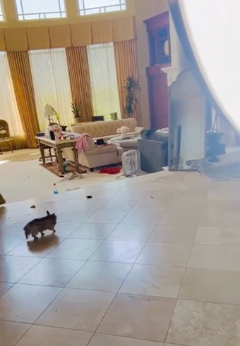4. Los fans notaron heces de perro en el piso