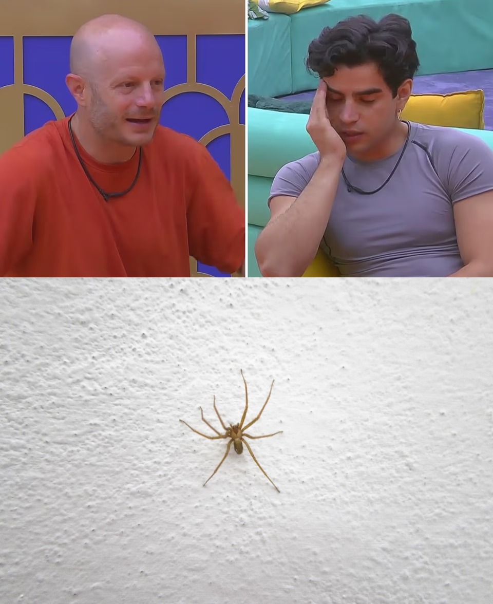 5. Lo odia porque mata insectos