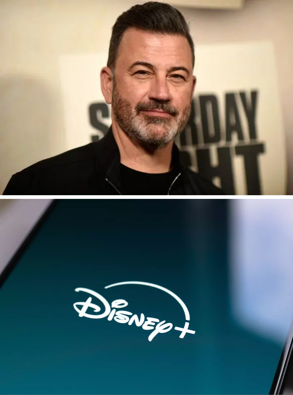 6. Disney lo canceló "por miedo"