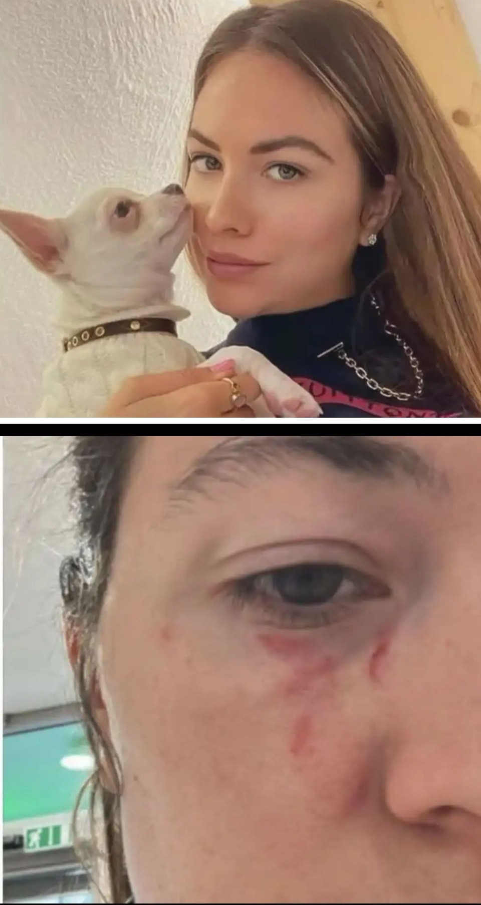 2. Había amenazado con matar a su perrita
