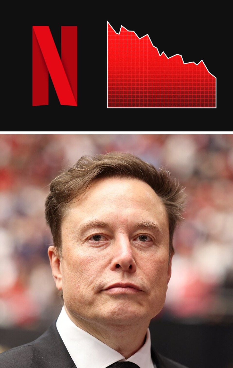 6. Las acciones de Netflix se desplomaron