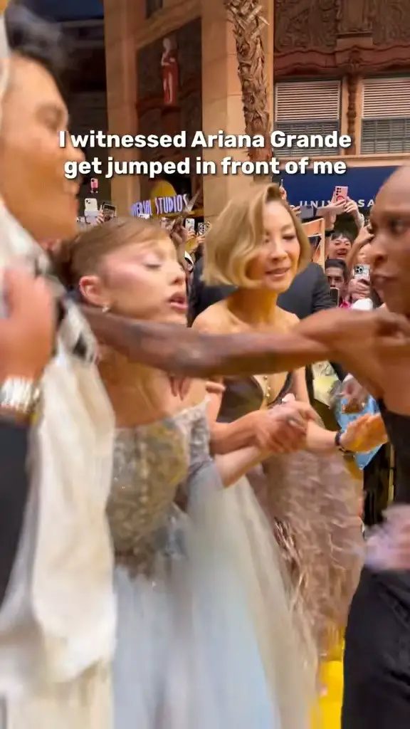 1. Saltó la barricada para acosar a Ariana Grande