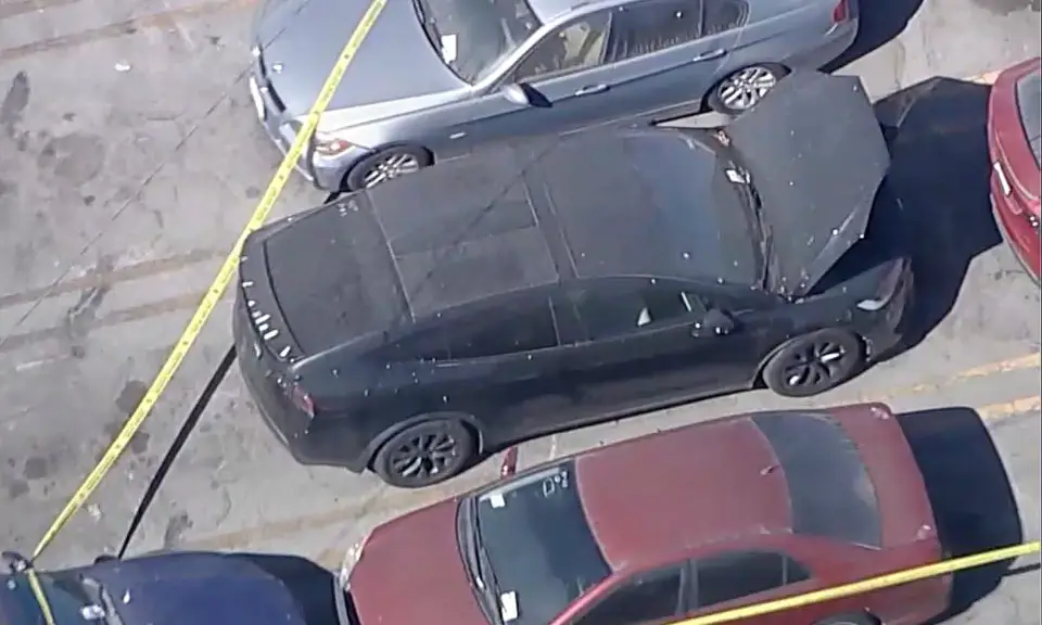 2. Tenía la cabeza en otra bolsa