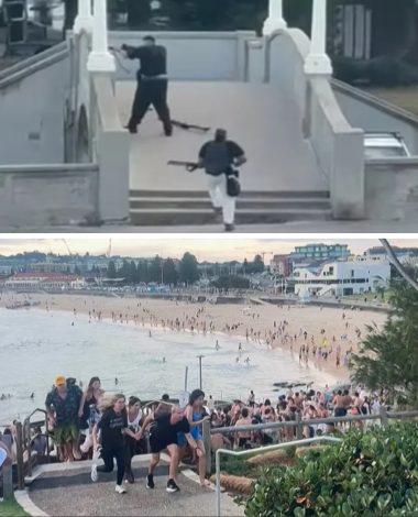 6 Datos del ‘Acto Heroico’ que detuvo el Terrible Ataque que acaba de pasar en Sidney