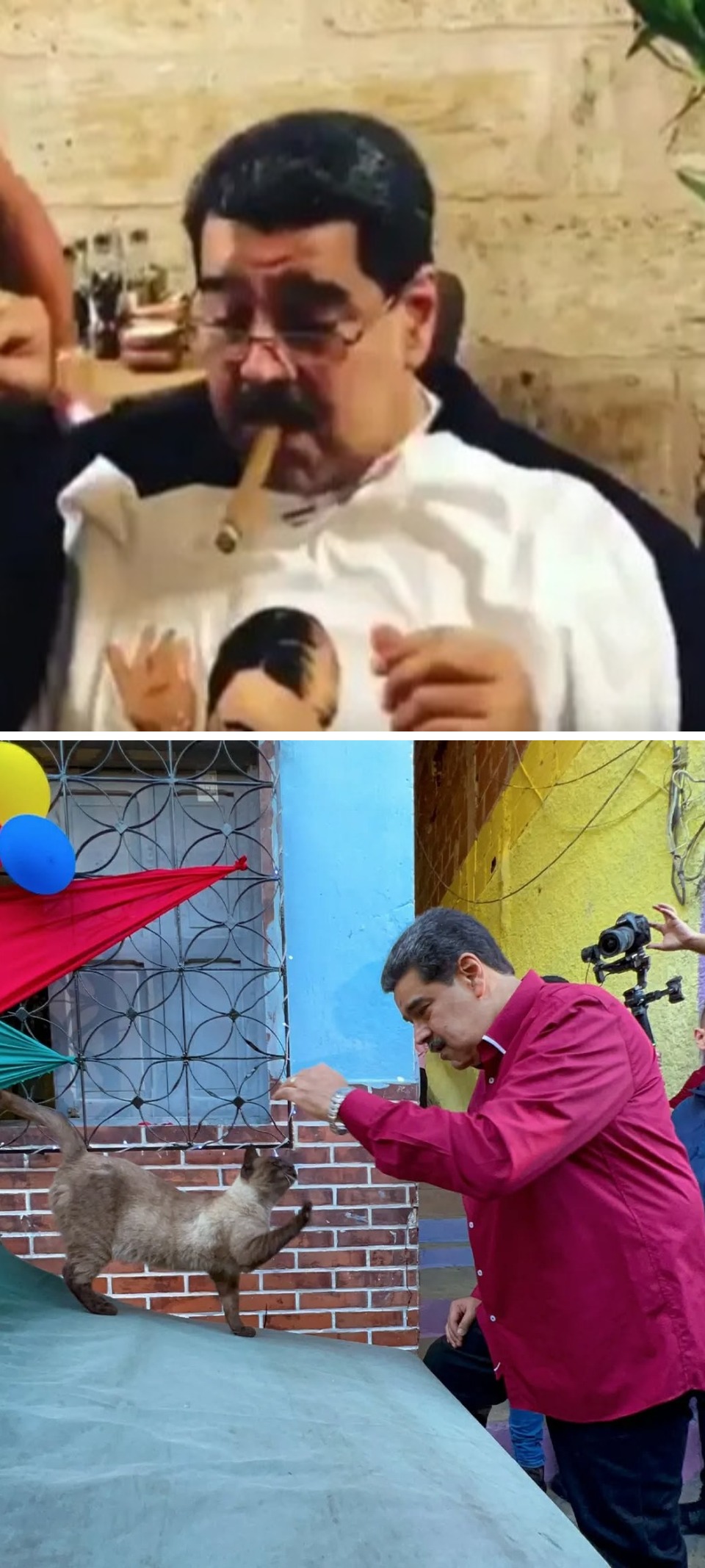 2. El espía reveló hasta que comía y cuáles eran sus mascotas